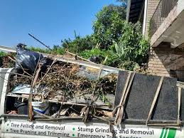 Best Demolition Debris Removal  in Indian Lake, MO